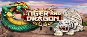 Hướng Dẫn Chi Tiết Cách Tham Gia Dragon Tiger Nhà Cái VuaBet